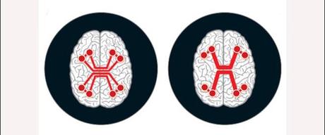 Los límites del cerebro: por qué no podemos ser más inteligentes