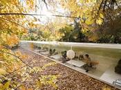 Trabajar bajo árboles