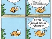 Enlaces semana (52/11)