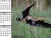 Calendario 2012 Segundo trimestre