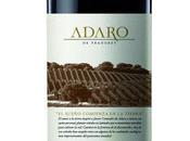 Adaro 2009