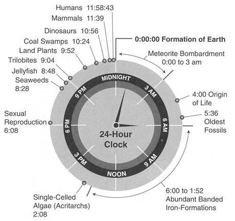 Origen y evolución de la vida, en 24 horas