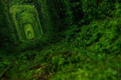 El 'Túnel del Amor' de Ucrania