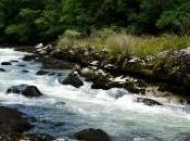 Equipo CHM: Nunca Eres Siempre