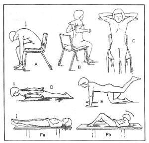 Ejercicios de rehabilitación recomendados para pacientes con Osteoporosis