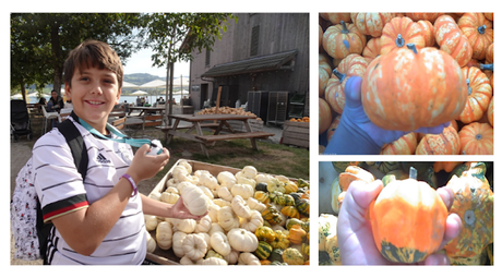 Fomentando la Creatividad: Ventajas de Comprar una Cámara de Fotos para Niños MyFirst Insta 2 Wi