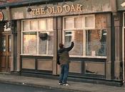 viejo roble; llamada solidaridad