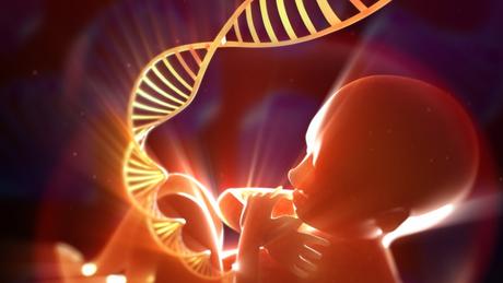 Cortar cordón umbilical: todo lo que necesitas saber sobre este procedimiento Cortar cordón umbilical: todo lo que necesitas saber sobre este procedimiento