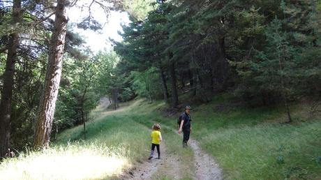 Excursión circular por el bosque de Espot Excursión circular por el bosque de Espot