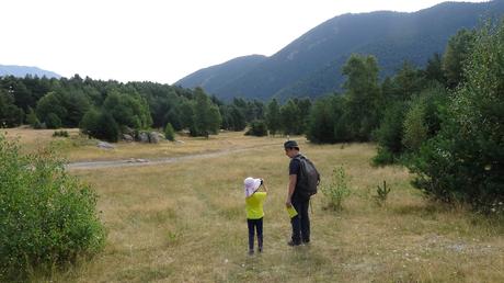 Excursión circular por el bosque de Espot Excursión circular por el bosque de Espot