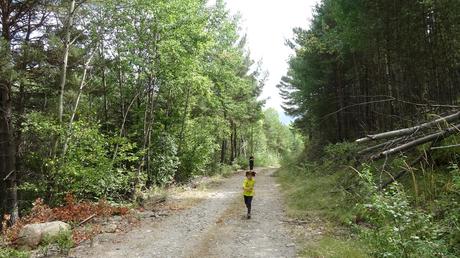 Excursión circular por el bosque de Espot