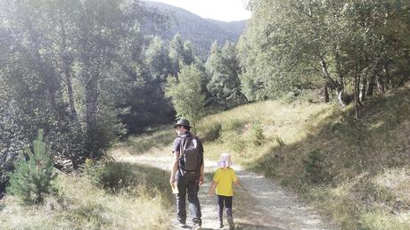 Excursión circular por el bosque de Espot Excursión circular por el bosque de Espot