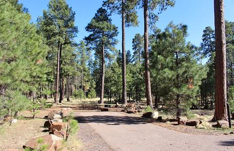 Campamento de Aspen