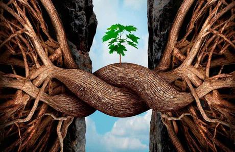 La resiliencia es crítica… y se educa