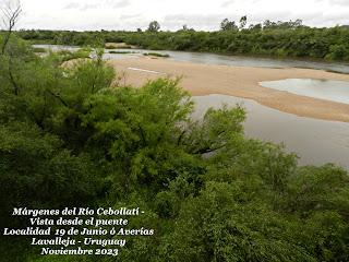 V Encuentro Iberoamericano  (De escritores y artistas)