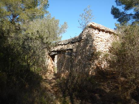 Corral de les Solanes