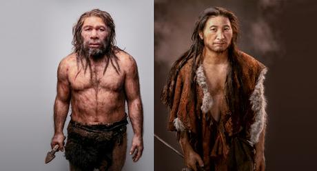 ¿Los neandertales fueron absorbidos por los homo sapiens?