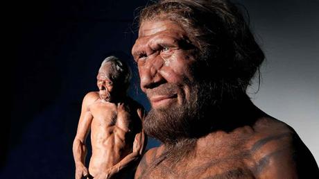 ¿Los neandertales fueron absorbidos por los homo sapiens?