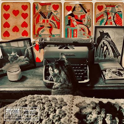 Ryan Adams - Shelter from the storm (2022)