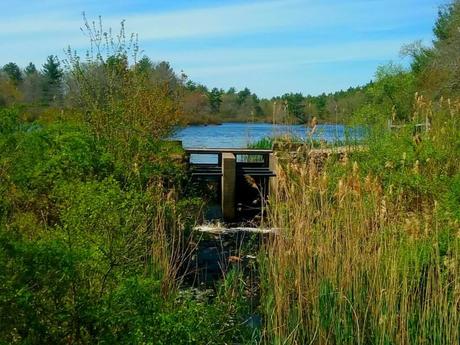 15 mejores cosas para hacer en Acushnet (MA) 15 mejores cosas para hacer en Acushnet (MA)