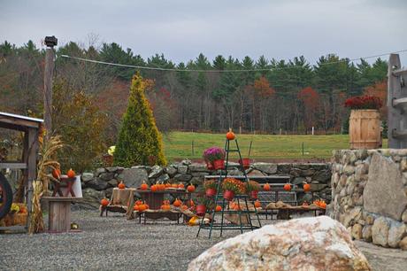 15 mejores cosas para hacer en Acushnet (MA) 15 mejores cosas para hacer en Acushnet (MA)