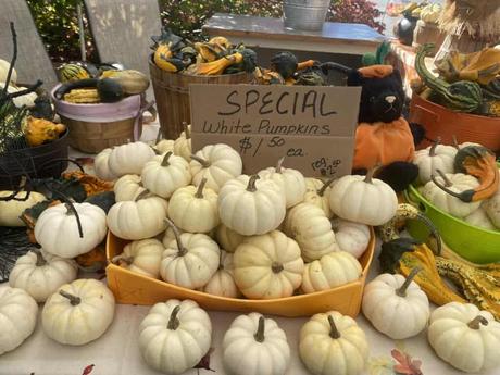 15 mejores cosas para hacer en Acushnet (MA) 15 mejores cosas para hacer en Acushnet (MA)