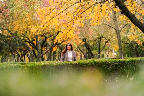 Un paseo de otoño Un paseo de otoño