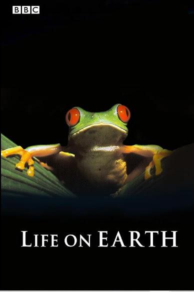 Life On Our Planet (2023)