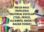 Mega Haul Papelería Material escolar (TEDI, ALCAMPO, PEPCO, SHEIN BAZAR CHINO)
