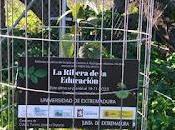 Ribera Educación