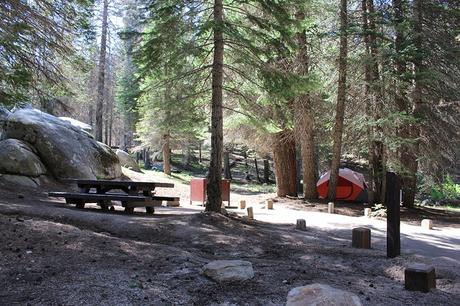 Campamento Stoney Creek