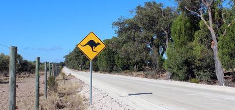 La importancia de contratar un seguro de viaje para viajar a Australia La importancia de contratar un seguro de viaje para viajar a Australia