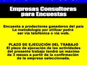 Empresas Consultoras para Encuestas