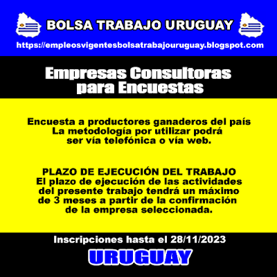 Empresas Consultoras para Encuestas