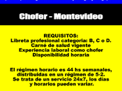 Chofer Montevideo