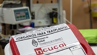 Nazimacrismo (sobrecargado y loco) ¿Qué puede salir mal? Nazimacrismo (sobrecargado y loco) ¿Qué puede salir mal?