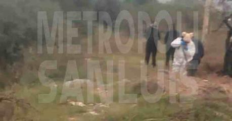 Investigan el Hallazgo de Dos Mujeres sin Vida en Soledad de Graciano Sánchez