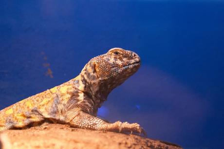 15 mejores cosas que hacer en Creta (Grecia) 15 mejores cosas que hacer en Creta (Grecia)