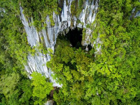 25 mejores cosas que hacer en Sarawak (Malasia) 25 mejores cosas que hacer en Sarawak (Malasia)