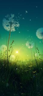 5.671 - Y LA CAMPIÑA.... 5.671 - Y LA CAMPIÑA....