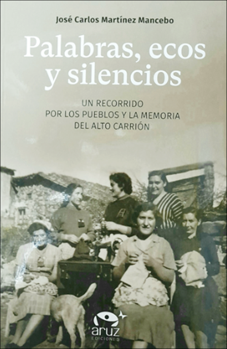 Palabras, ecos y silencios, José Carlos Martínez Mancebo