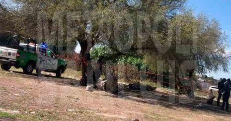 Trágico Suicidio en Soledad de Graciano Sánchez: Persona Encontrada Colgada de un Árbol