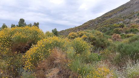 ISLAS EOLIAS: VULCANO ISLAS EOLIAS: VULCANO