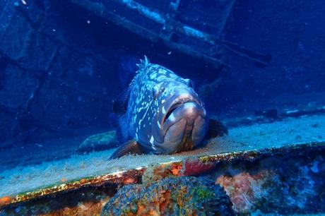 15 mejores cosas que hacer en Paxos (Grecia)