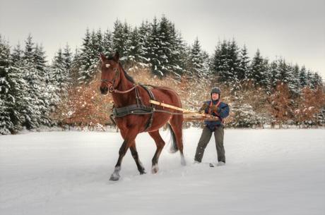 12 experiencias originales para hacer en el resort ARA Ski Joëring, deporte de invierno a caballo