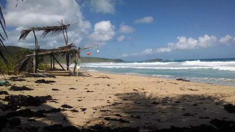 Playa Brava, Culebra