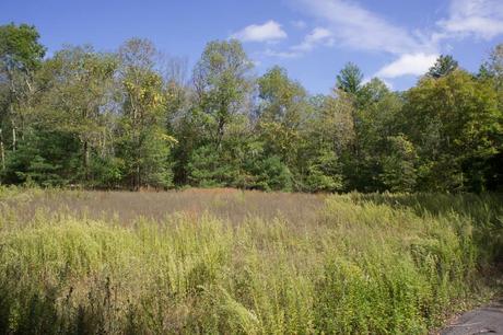 Parque estatal Wompatuck