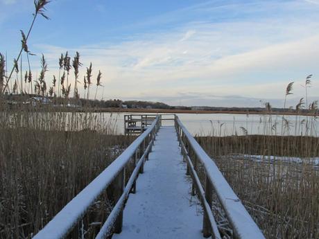 Santuario de vida silvestre North River de Mass Audubon