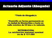Actuario Adjunto (Abogado)