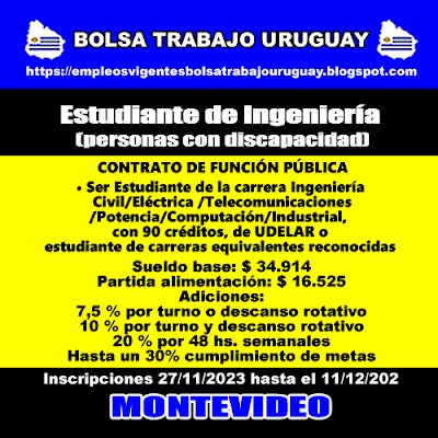 Estudiante de Ingeniería (personas con discapacidad)